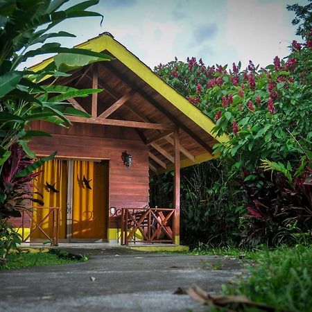 Selvita Lodge Arenal Ла Фортуна Экстерьер фото
