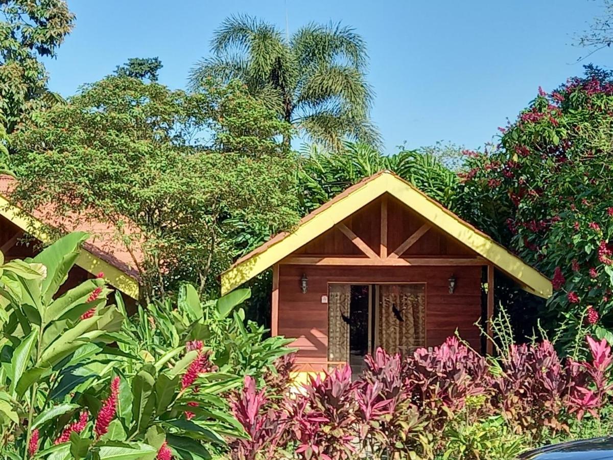 Selvita Lodge Arenal Ла Фортуна Экстерьер фото