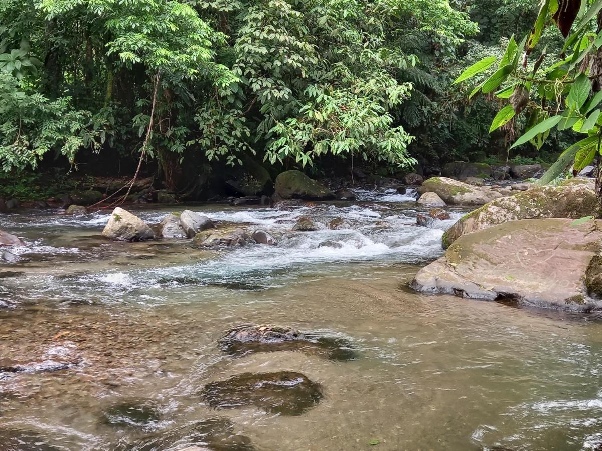 Selvita Lodge Arenal Ла Фортуна Экстерьер фото