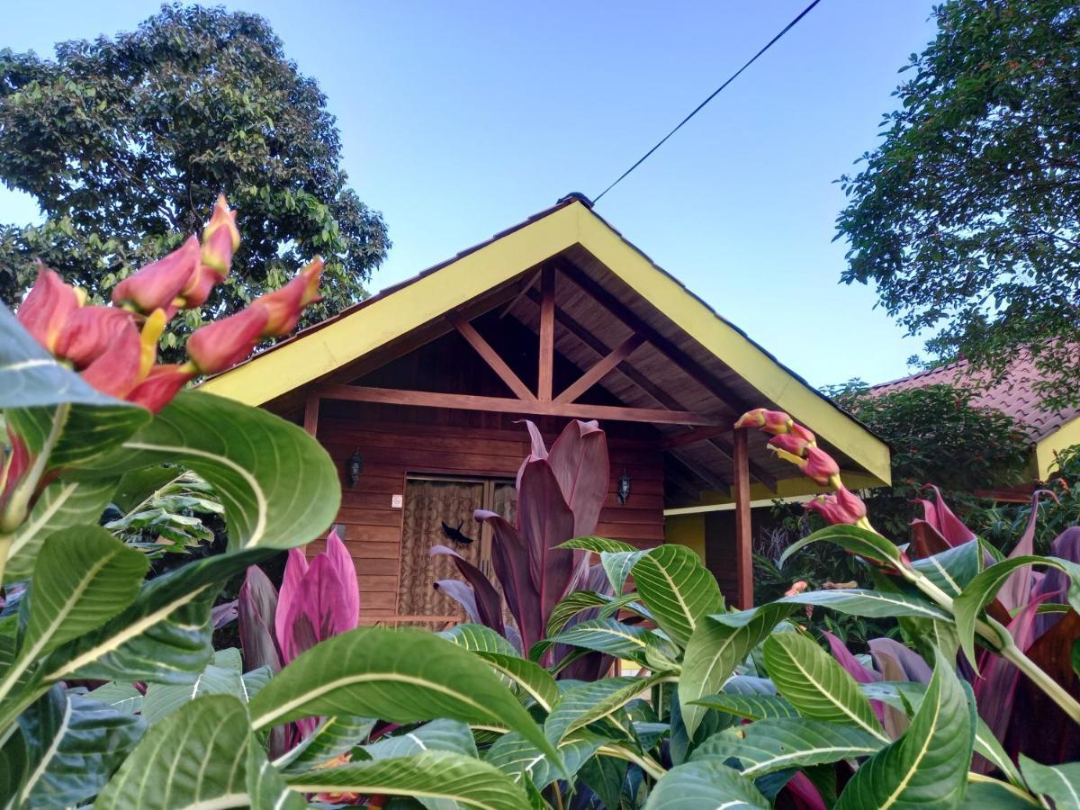Selvita Lodge Arenal Ла Фортуна Экстерьер фото